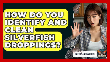 How Do You Identify And Clean Silverfish Droppings? - Insects and Invaders