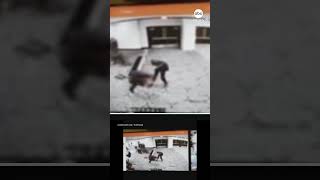 Suspect identified in White House Correspondents' Dinner shooting incident Profile