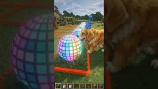 minecraft pocket edison doggy one heat to land the spawn. light.#like#share#subscribe.