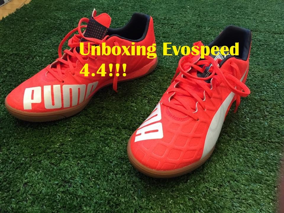 puma evospeed 4.4 indoor