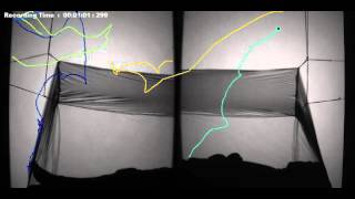 Visiting tracks at a human baited bed net