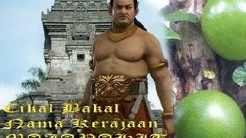 Buah Maja, Cikal Bakal Nama Kerajaan Maja Pahit