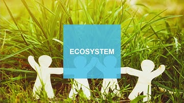 Teaching databases to learn in the world of AI - Nikita Shamgunov (MemSQL)