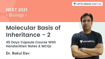 Molecular Basis of Inheritance - 2 | Biology | Let