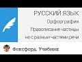 Русский язык. Правописание частицы "не" с разными частями речи. Центр онлайн-обучения «Фоксфорд»