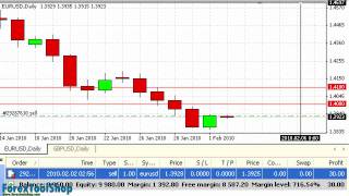 How To Read Basic Forex Charts