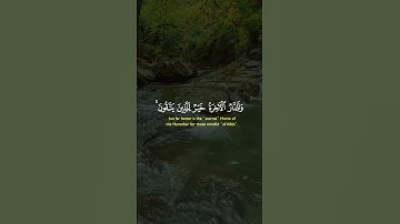 القرآن الكريم #اكسبلور #القرآن_الكريم #تلاوة_خاشعة