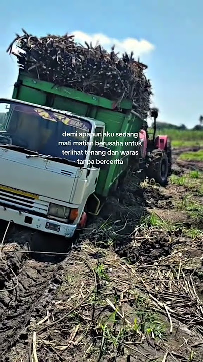 STORY WA TRUK OLENG 30 DETIK!! #trukmania #trukmbois #trukoleng #tukangreposttrukindonesia