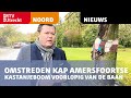 Omstreden kap Amersfoortse kastanjeboom voorlopig van de baan, buurt haalt opgelucht a [RTV Utrecht]