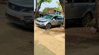 Shahnawaz 313