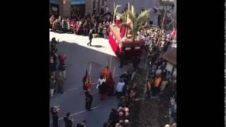 ¡Feliz Domingo de Ramos 2020! ¡Feliz Domingo de Ramos 2020!