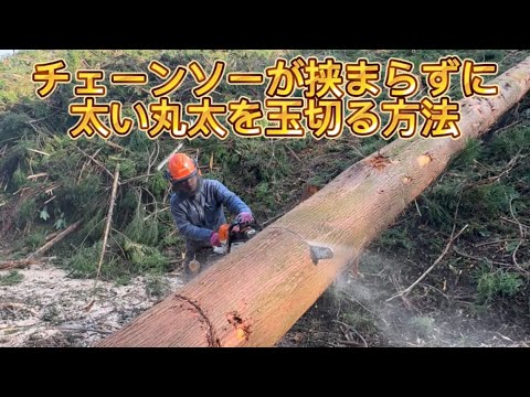 How to cut logs without getting pinched by the chainsaw (Part 1