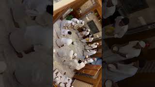 Kayyancod യങകട യയൽ Crdrs