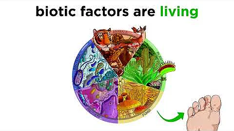 Introduction to Ecology