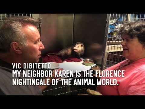 My neighbor Karen is the Florence Nightingale of the animal world.