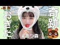 【第二話】あつ森で今年の運つかいきった【あつ森】