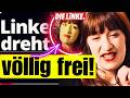 💥EIL💥LINKE HEIDI WILL NOCH MEHR GELD FÜR ANDERE LÄNDER (WEGEN KLIMA) | STEINMEIER STIMMT WADEPHUL ZU