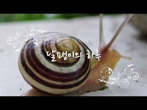 달팽이의 하루 (쉬운 악보)