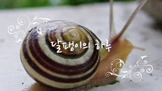 달팽이의 하루 (쉬운피아노악보)