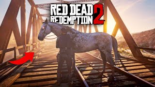 You'll Never Ride Arabian Horses If You Ride This N10 - RDR2