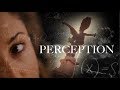 THE BEAUTY & POWER OF PERCEPTION