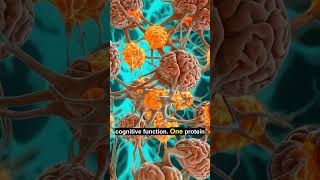 Can One Protein Stop Alzheimer's in Its Tracks?