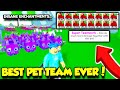 This Is The BEST PET TEAM In Pet Simulator X And It's INSANE!! (Roblox)