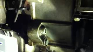 IMG 1143