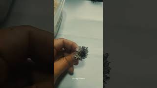 Memory preserved🌻♥️ #flowers #memories #resin #diy