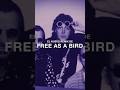 ¿Qué onda con el nuevo remix de Free as a Bird? 👀 #thebeatles #johnlennon #georgeharrison #rock