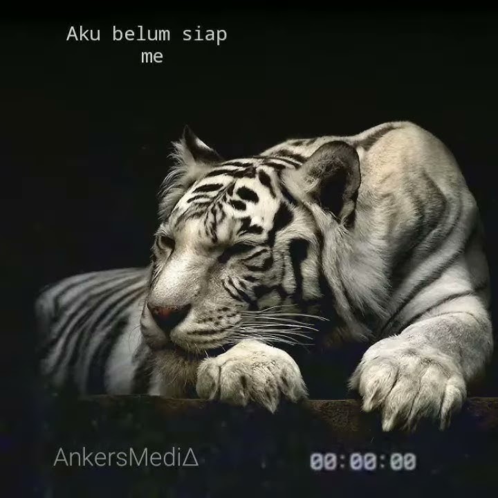 Yang punya khodam pendamping pasti ngerti
