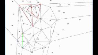 Constrained Delaunay Triangulation