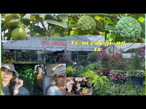 Video Tiệm cây giống người Việt ,houston tx ,có đủ loại cây... - youtube