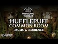 Harry Potter Music &amp; Ambience | 🌿 Hufflepuff Common Room, Hogwarts Legacy