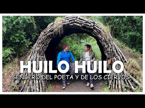 HUILO HUILO SENDERO DEL POETA Y SENDERO DE LOS CIERVOS - Vlog 03 - 4K