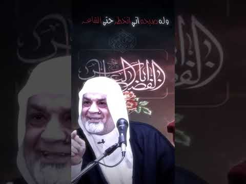 منين جبتي هل نغل صبوحه