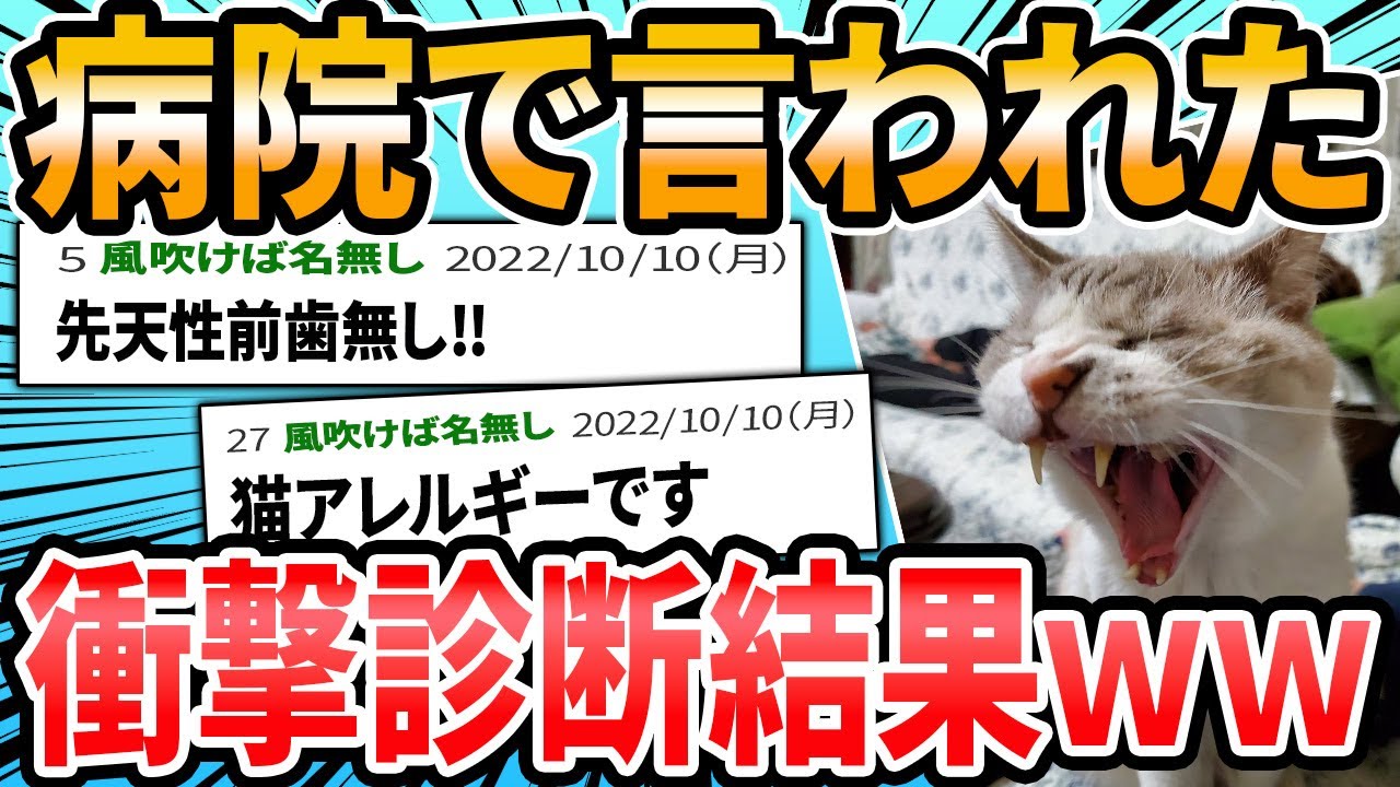 【動物おもしろ】ドクターに言われた衝撃的な言葉【2ch面白いスレ】
