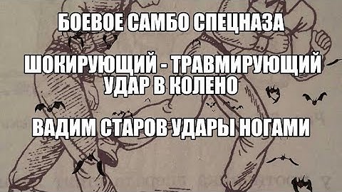 Боевое Самбо Спецназа Шокирующий-Травмирующий удар ногой в колено, голень Вадим Старов