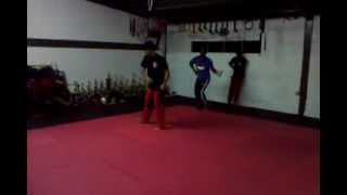 Cheat 9 hook Swipeknife