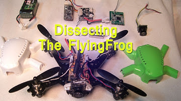Eachine Flying Frog Q90 Flying and Dissecting