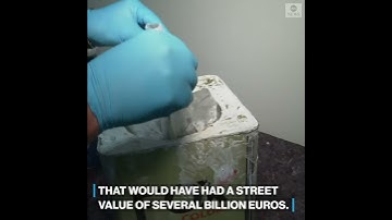 Duitse en Nederlandse autoriteiten verrichten grote drugsvangst ter waarde van meerdere miljarden euro