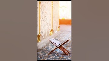 ﴿وأن أتلو القرآن فمن اهتدى فإنما يهتدي لنفسه ....﴾ [النمل: ٩٢-٩٣] #قرآن_كريم #quran #سورة_النمل