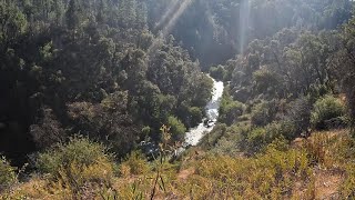Hiking Deep in a Canyon for Rainbow Trout-Director's Cut #catchandrelease #flyfishing #asmr #trout