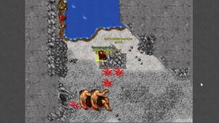 TIBIA - PK noob en cyc