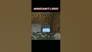 Minecraft Logic | #shorts #minecraft #shortsfeed