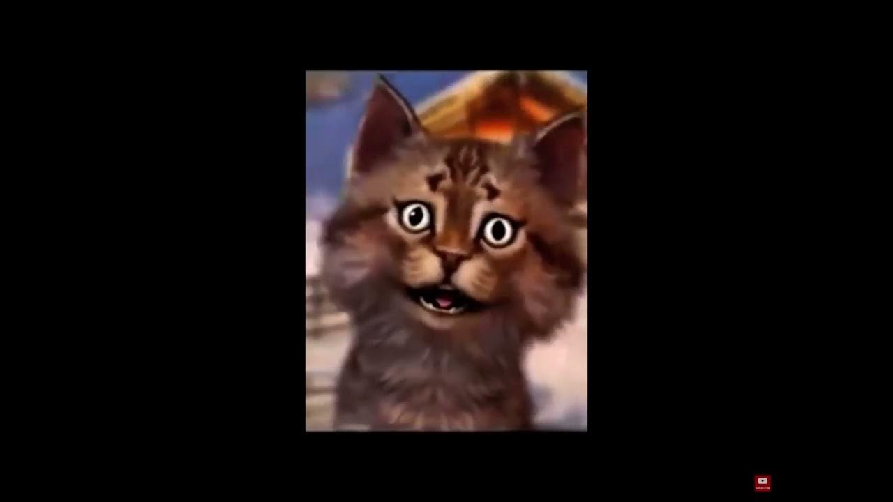 GravyCatman face reveal!! YouTube