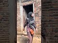 Ndisiki Pilkada Ya Bolo Ndisiki Pilkada Ya Bolo