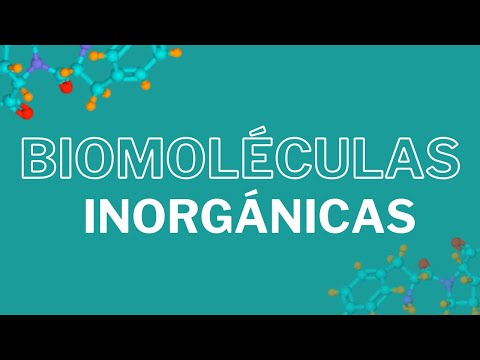 Biomoléculas inorgánicas: CLASIFICACIÓN