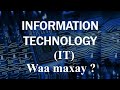 Waa Maxay Information Technology (IT) ?