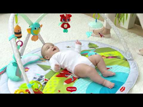 Развивающий коврик с дугами "Веселая лужайка" Tiny Love